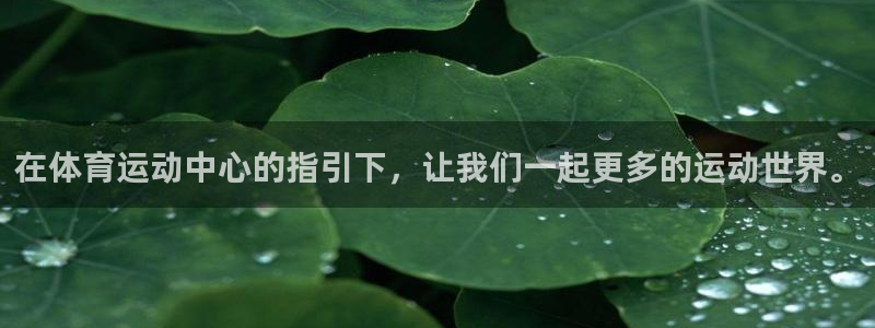 熊猫体育nba