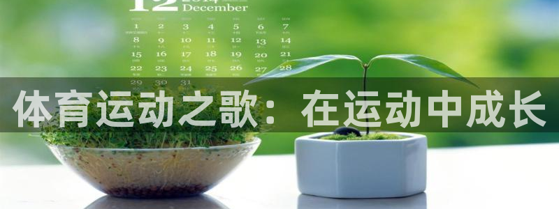 熊猫体育app官网入口