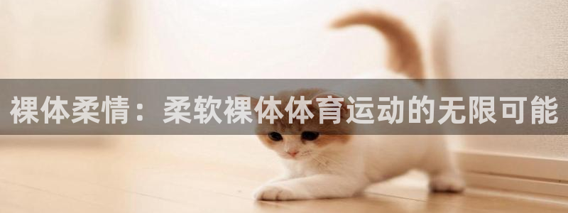 熊猫体育在线观看