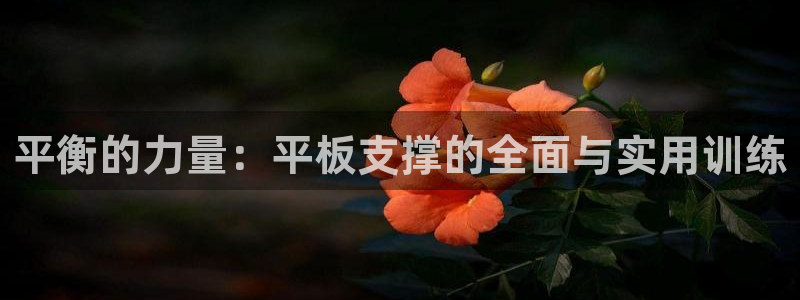 熊猫体育官网：平衡的力量：平板支撑的全面与实用训练