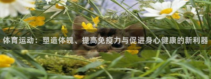 熊猫体育sports：体育运动：塑造体魄、提高免疫力与促进身心健康的新利器