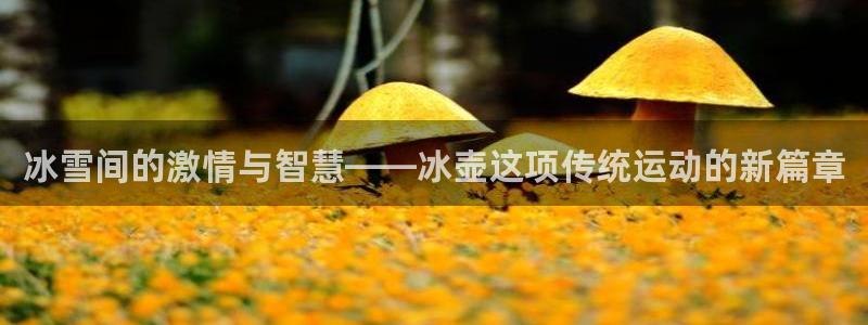 181熊猫体育：冰雪间的激情与智慧——冰壶这项传统运动的新篇章
