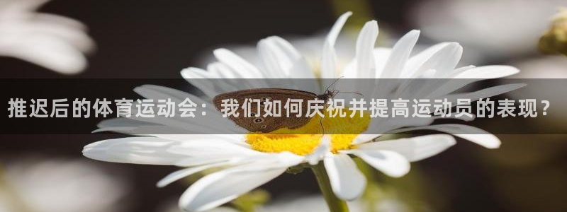 熊猫体育怎么样：推迟后的体育运动会：我们如何庆祝并提高运动员的表现？