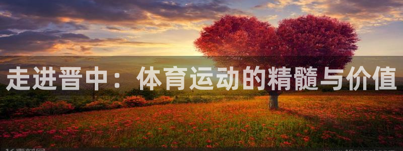 熊猫体育比赛直播：走进晋中：体育运动的精髓与价值