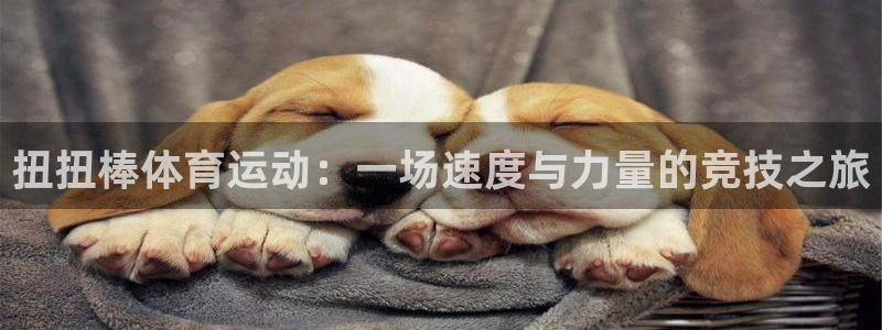 熊猫体育在线：扭扭棒体育运动：一场速度与力量的竞技之旅