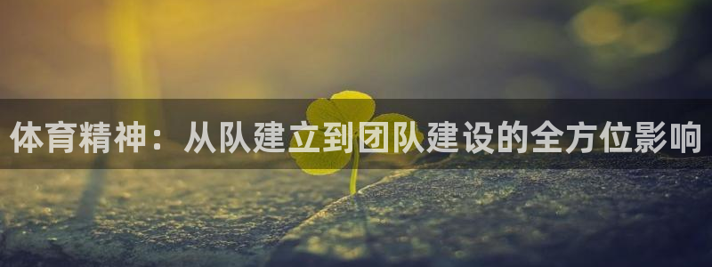 熊猫体育平台：体育精神：从队建立到团队建设的全方位影响