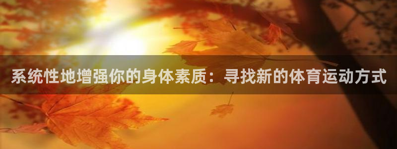 动感熊猫体育公园：系统性地增强你的身体素质：寻找新的体育运动方式