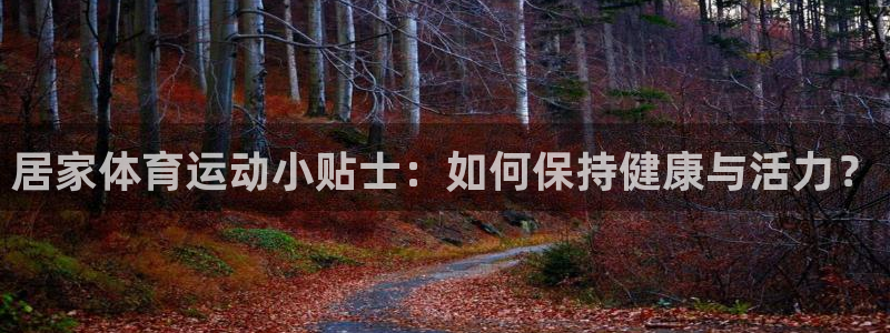 熊猫体育app官方下载最新版：居家体育运动小贴士：如何保持健康与活力？