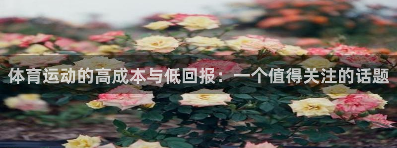 中山熊猫体育：体育运动的高成本与低回报：一个值得关注的话题