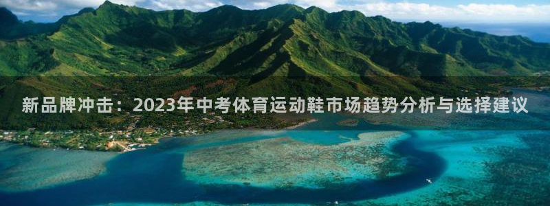 熊猫体育手机版：新品牌冲击：2023年中考体育运动鞋市场趋势分析与选择建议
