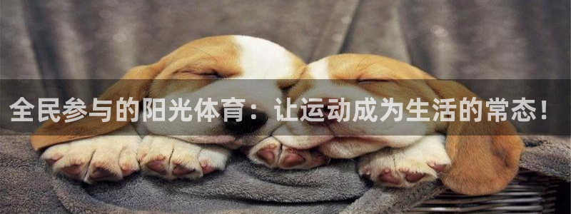 成都金熊猫体育：全民参与的阳光体育：让运动成为生活的常态！
